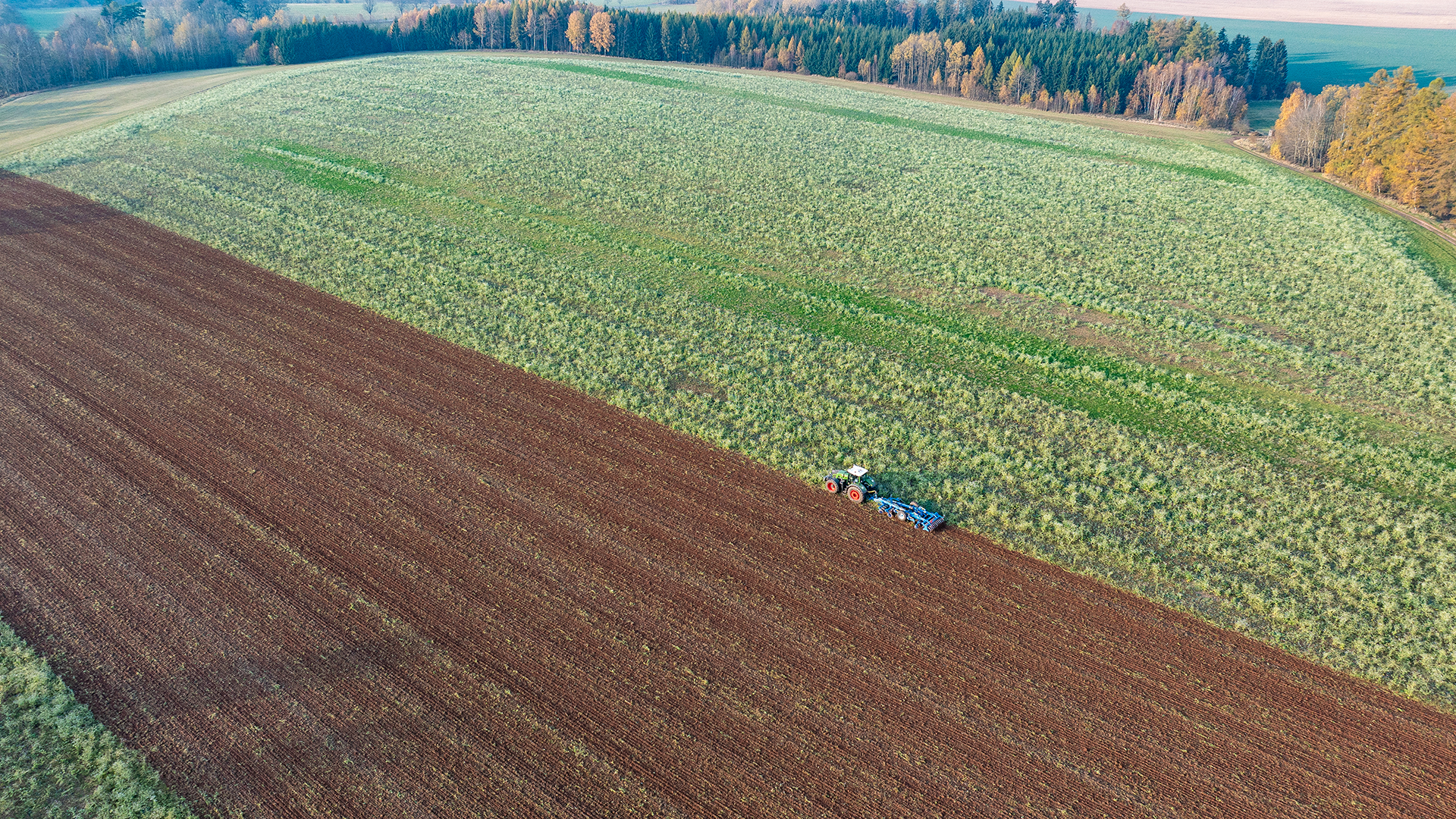 Combined cultivator Triton Heavy