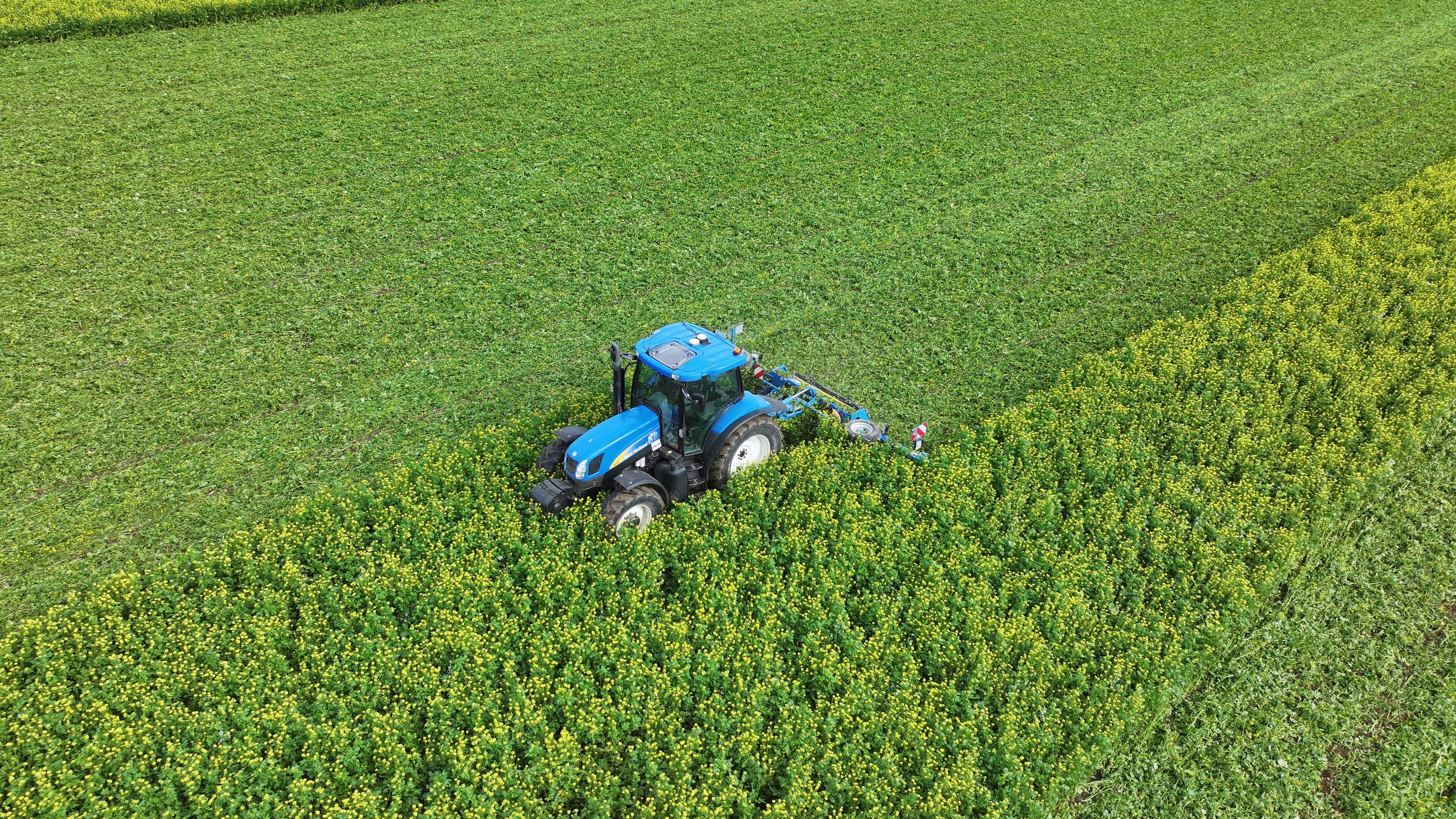 SingleCut lõikerullid