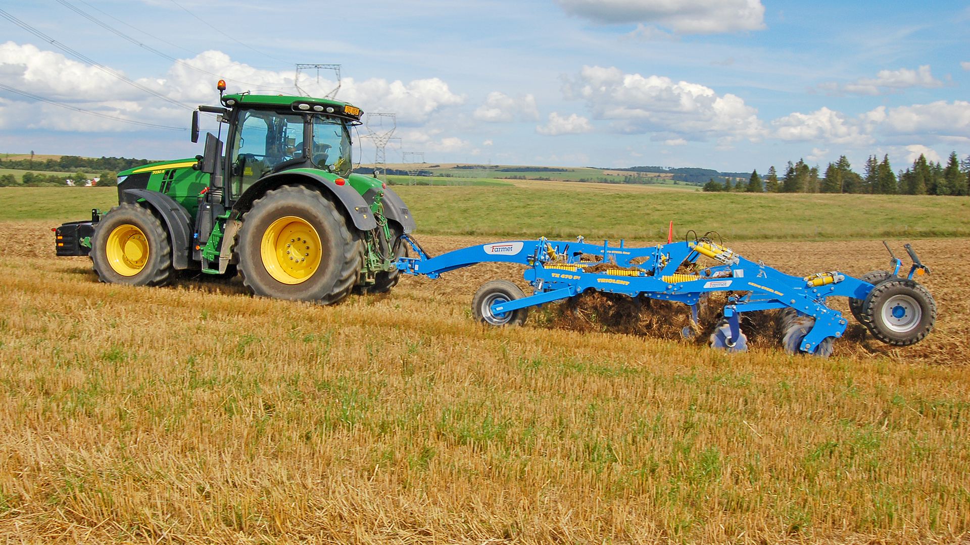 Dlátový kyprič Triolent