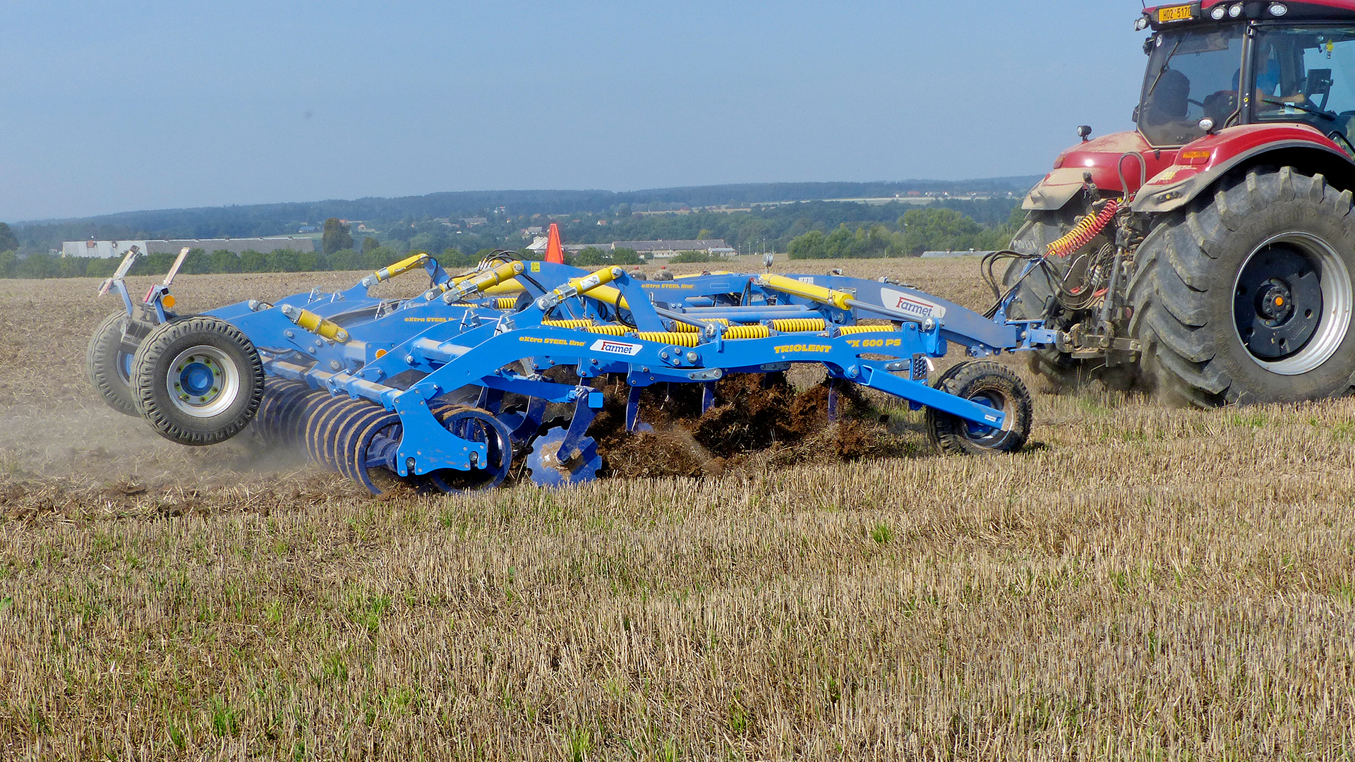 Dlátový kyprič Triolent