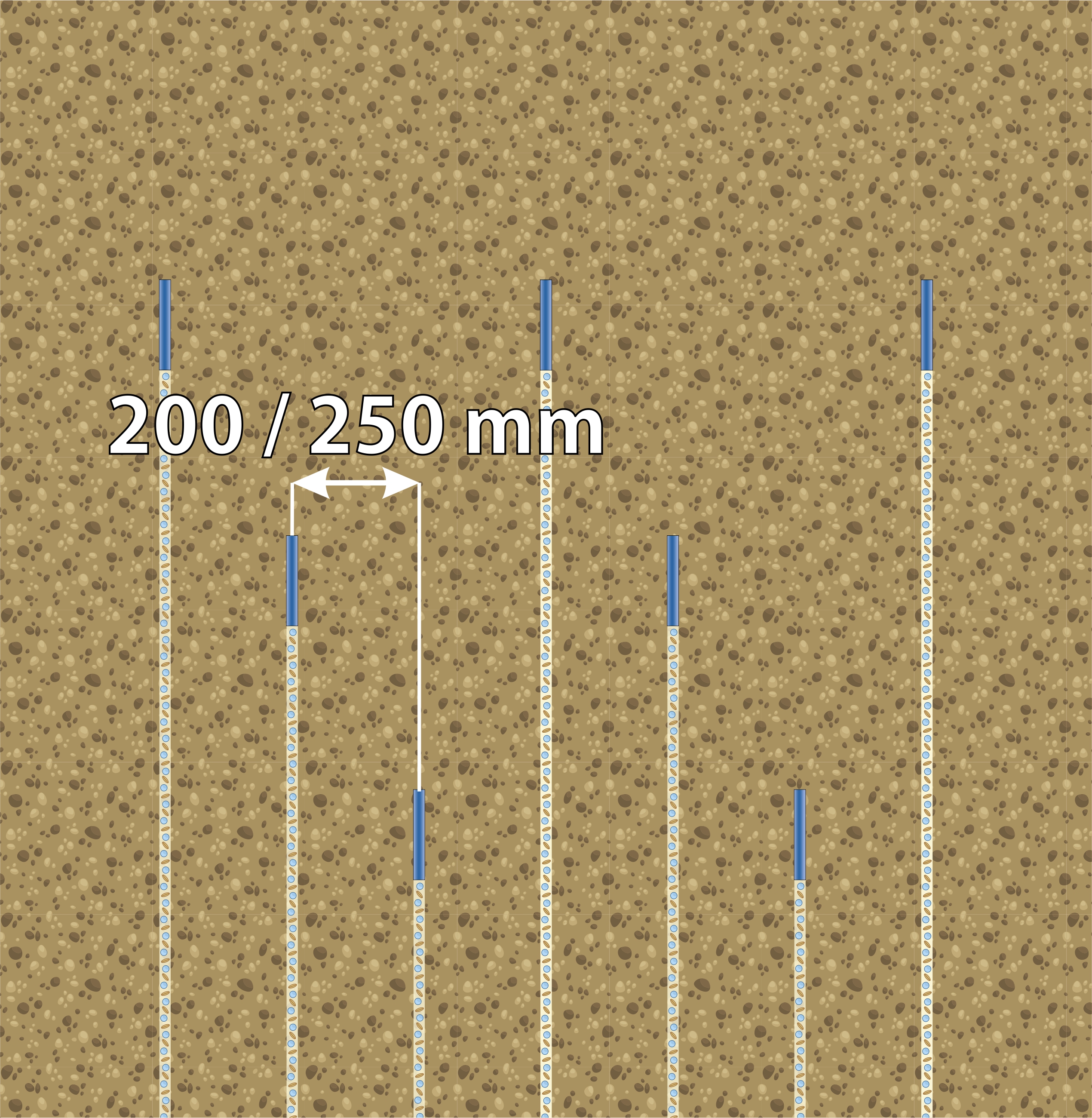 Zinkensämaschine Falcon PRO Tandem