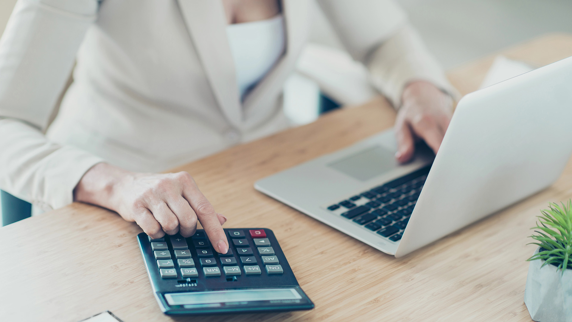 TH profese - nabízené pozice: